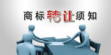 商标转让全攻略 流程、风险与注意事项一本通